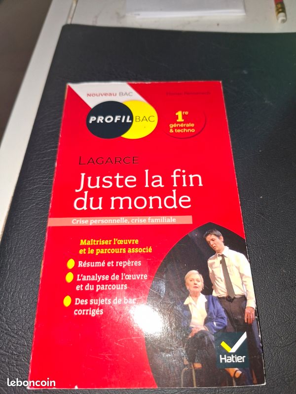 Juste la fin du monde (image 2)