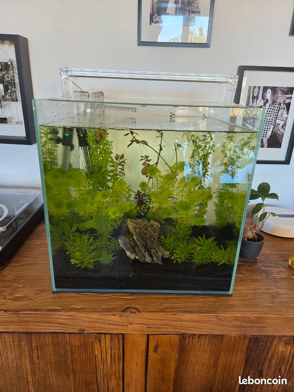 Aquarium superfish scaper qube 60 avec filtre (image 1)