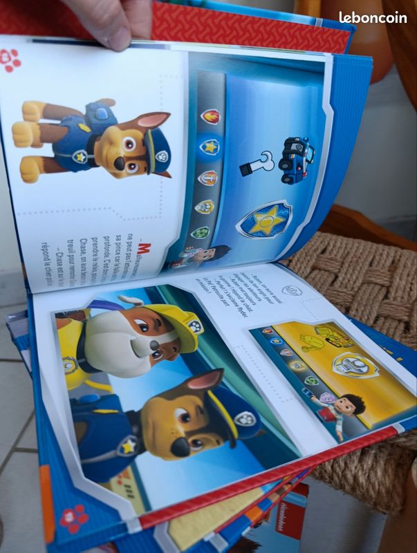 Lot livres pat patrouille (image 14)