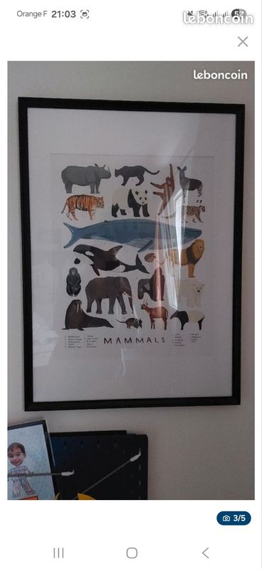 Affiches JUNIQE (image 3)