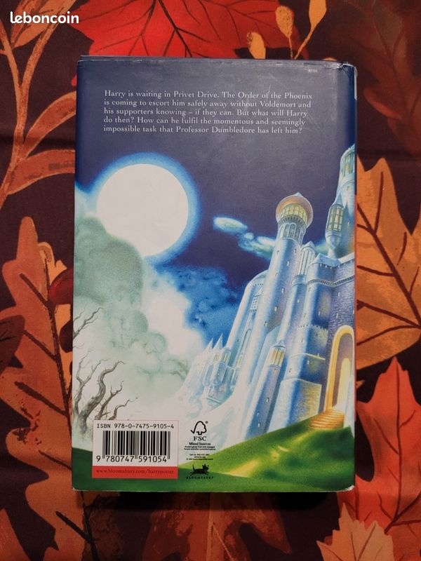 Harry Potter and the Deathly Hallows (image 8)