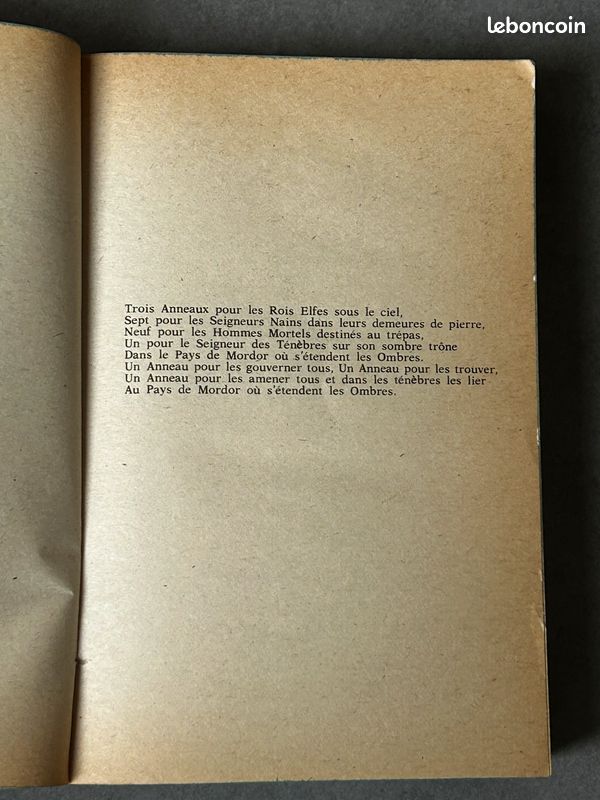 Le Seigneur des anneaux : La Communauté de l'anneau (image 6)
