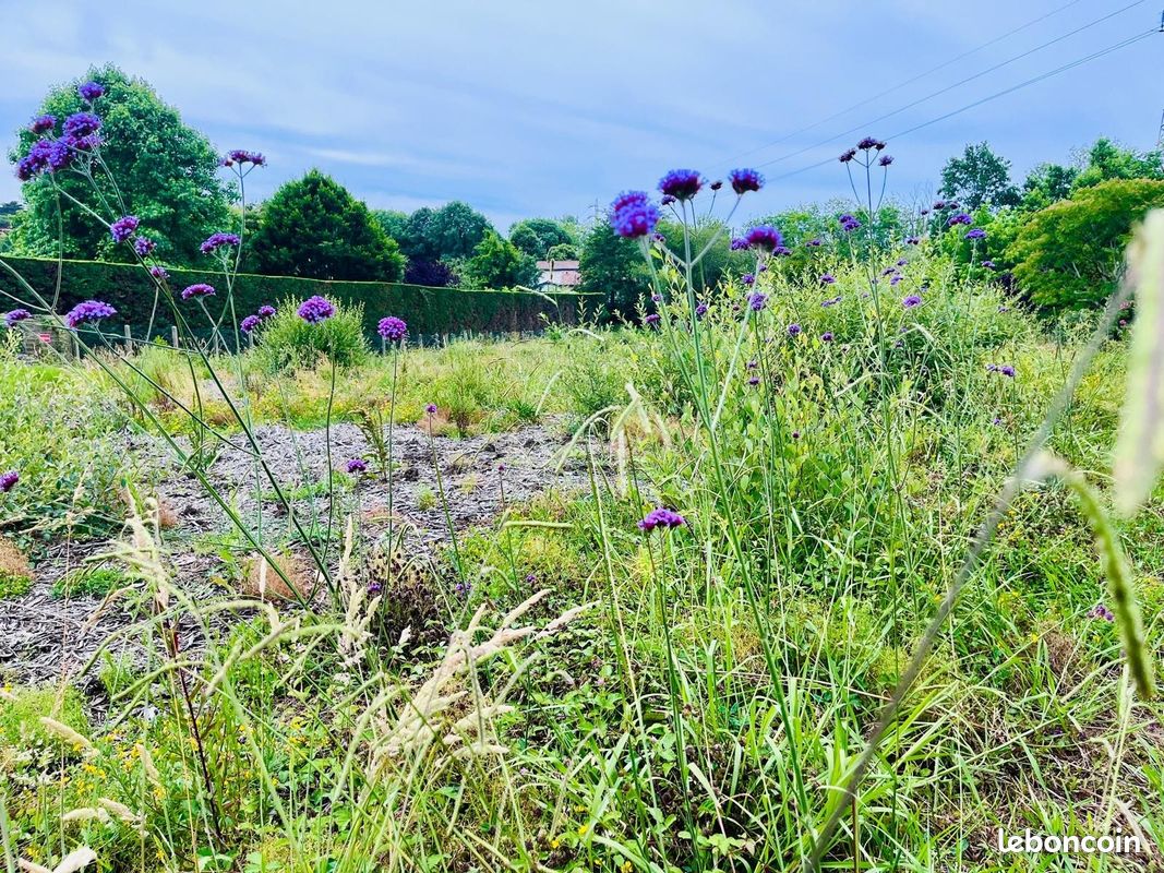 Terrain 570 m² · à Bidart · 460 000 €
