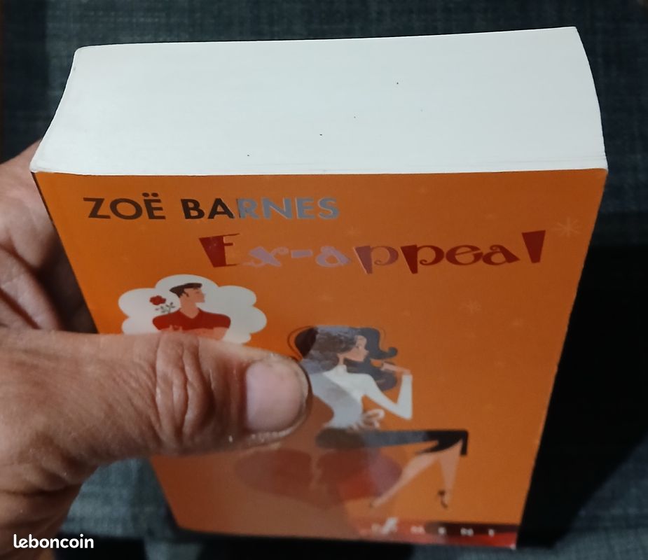 Ex-Appeal - Roman de Zoë Barnes – Format poche (image 5)