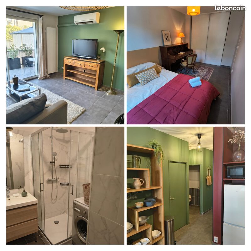 Chambre dans colocation 55 m2 + terrasse (image 3)
