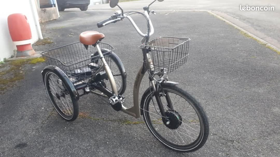 Triporteur électrique (image 2)