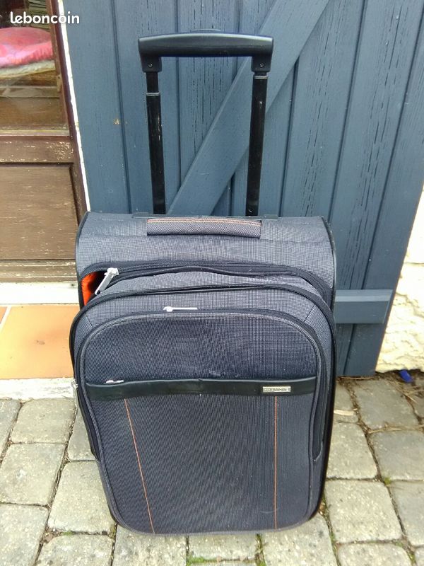 Valise Top Love grise bleutée (image 2)