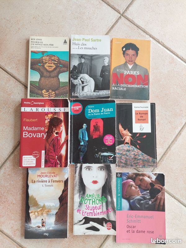 Lot de livres enfants (collège) (image 1)