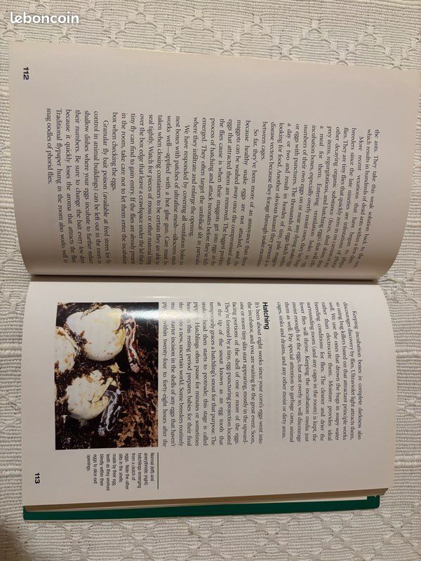 Livre serpents (image 5)