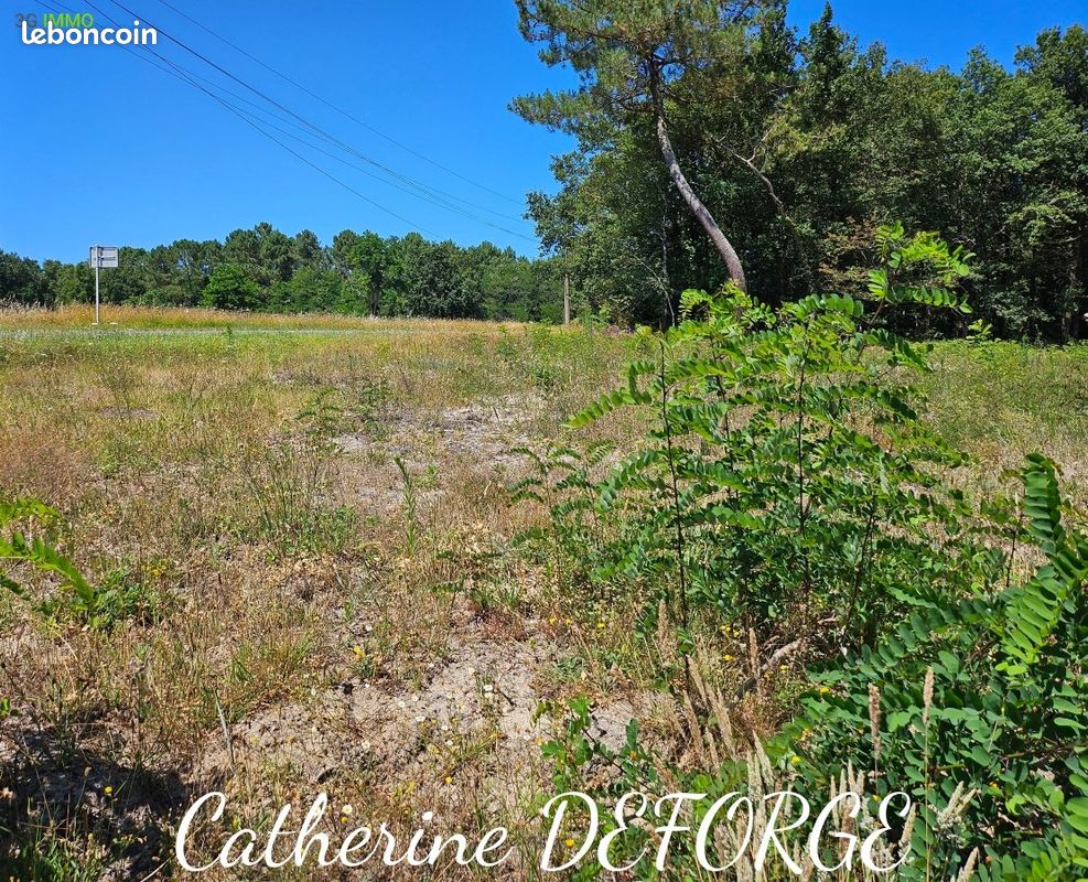 Terrain 1298 m² · à Civrac-de-Blaye · 1 298 m² · 65 000 €