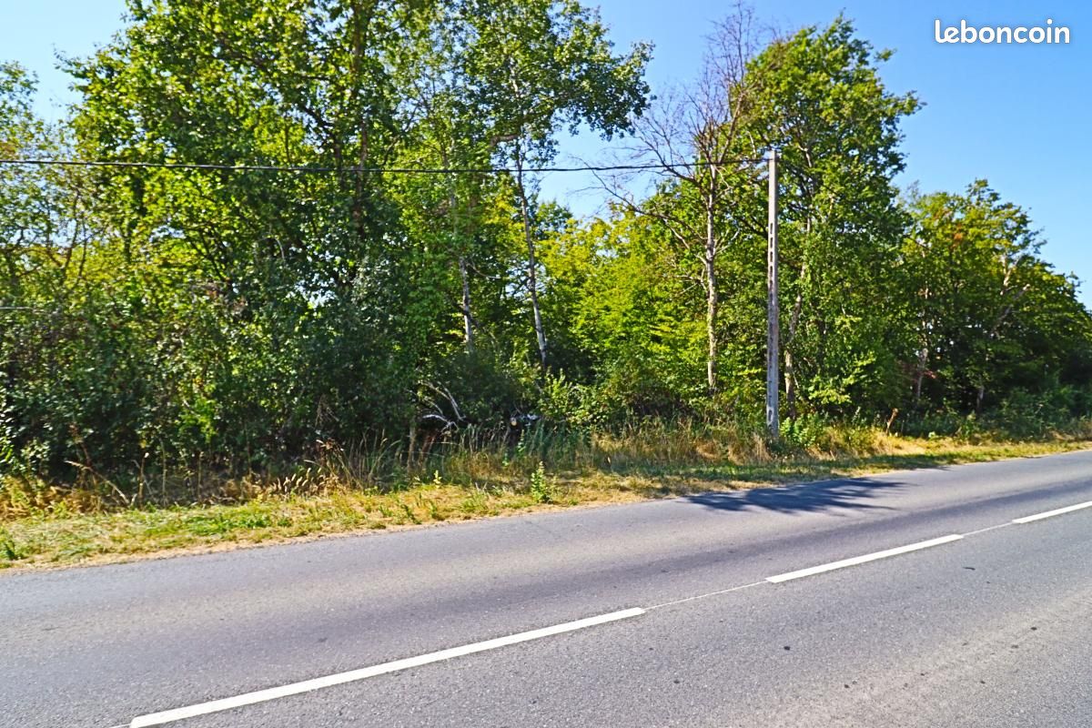 Terrain 1 500 m² Tracy Sur Loire (image 2)