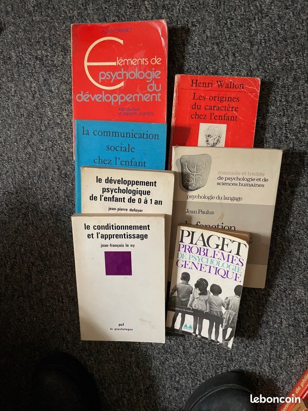 Lot de livre de psychologie de l’enfant. Danset. Beaudichon. Dufoyer. Le N’y. Wallon. Paulus. Piaget (image 1)