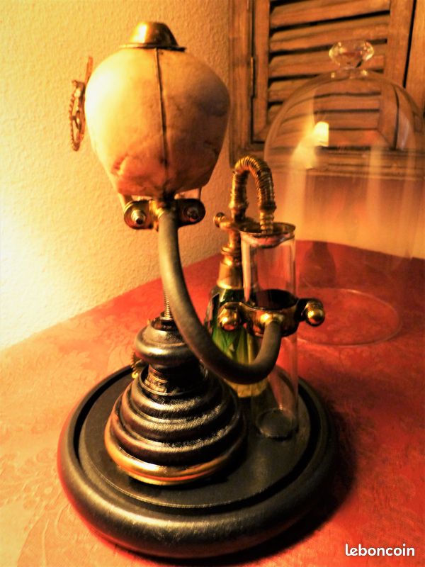 Globe de Curiosité Verre "SKULL OF VANITY XIX" Créa. Steampunk (image 6)