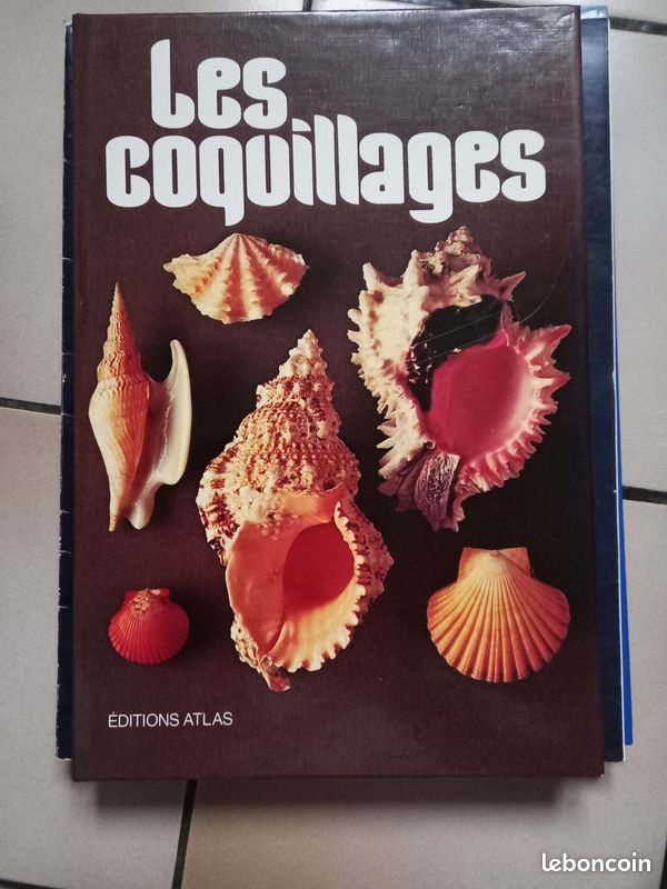 Livre sur les coquillages (image 3)