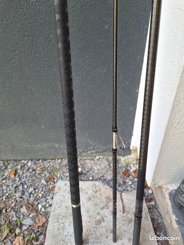 Canne surfcasting (image 2)