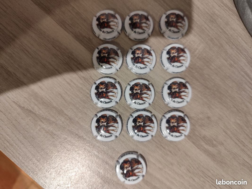 Lot de 13 Capsules Bonningre Durand Cuvée du Chanois (image 1)