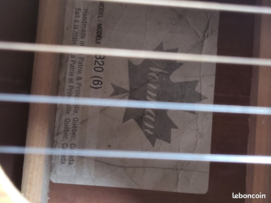 Guitare Norman B20 (image 2)