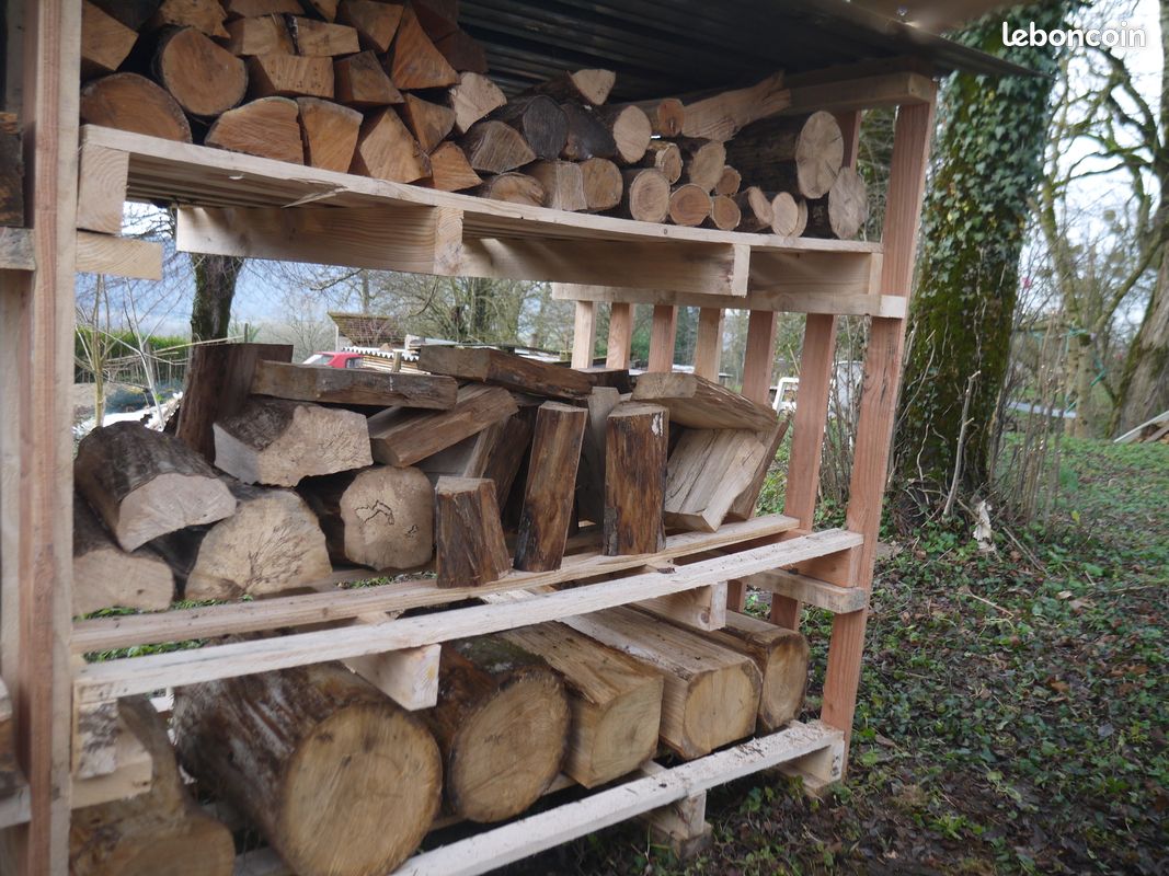 Bois pour sculpture ou tournage - Aulne, Noyer noir, bois échauffés et autres (image 3)