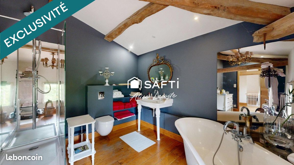 Propriété 11 pièces 342 m² (image 13)