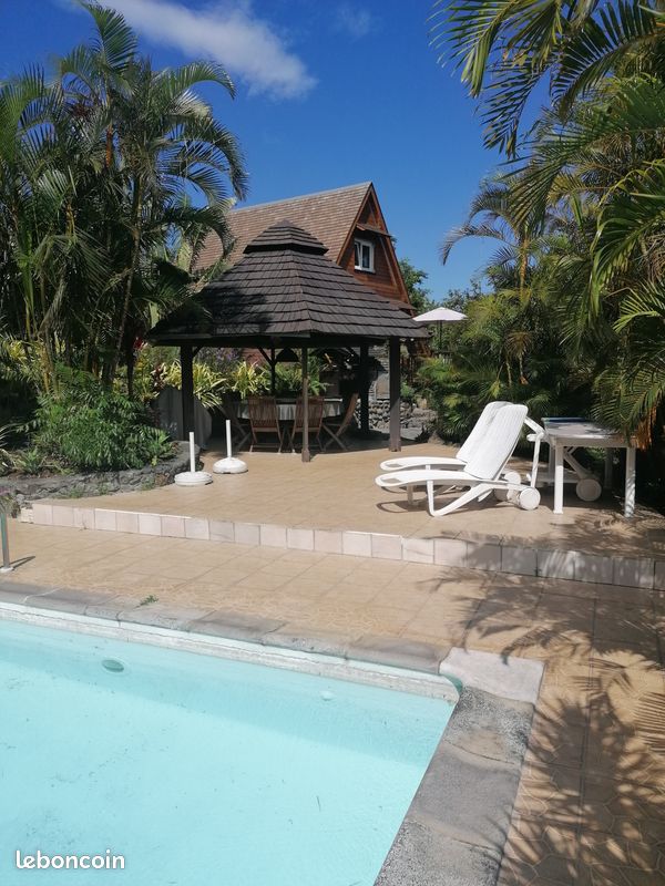 Chalet tillandsia (image 4)