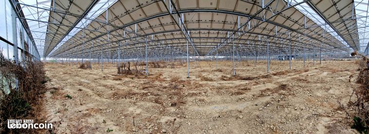 Terrain agricole Fronton