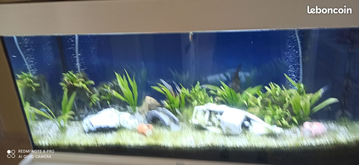 Aquarium 200 l. Tout équipé (image 2)