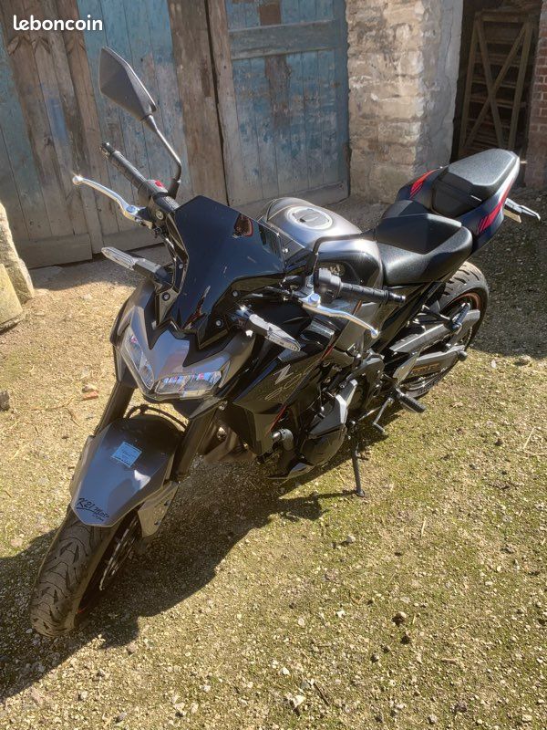 Z900 full 2023 (image 1)