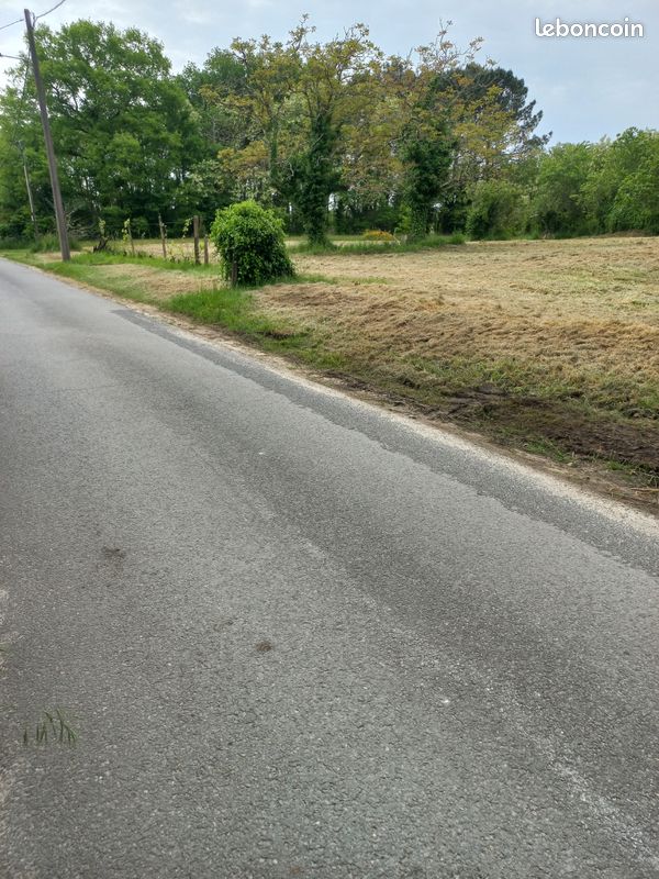Terrain constructible (image 2)