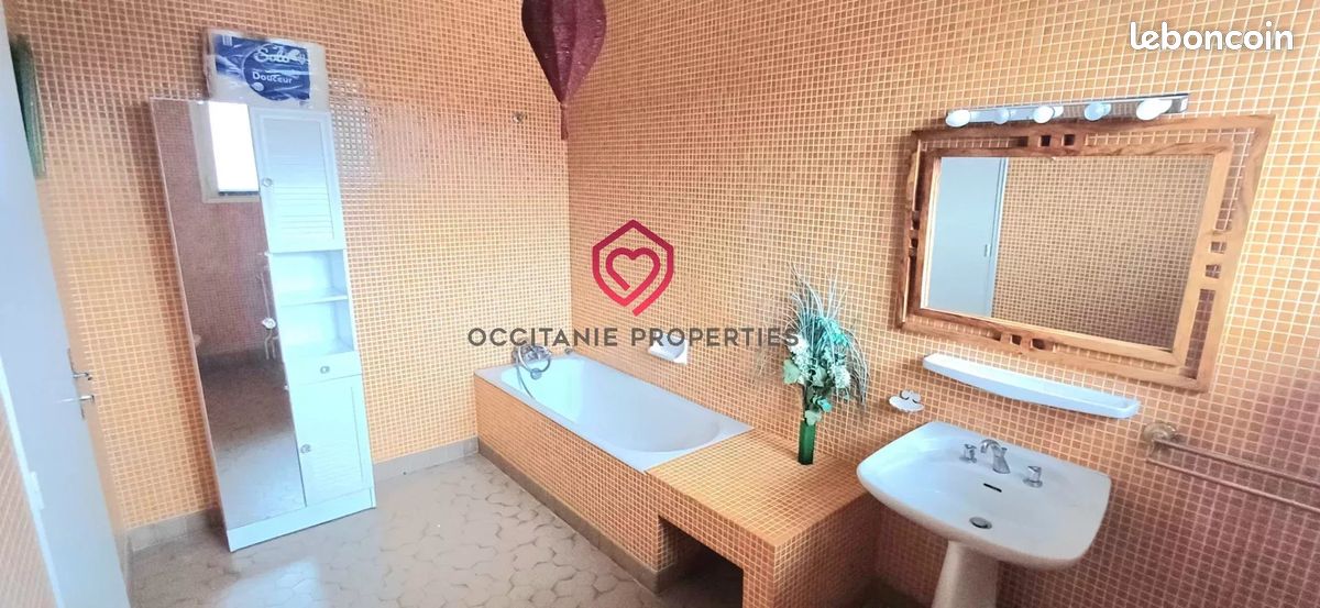 Maison 9 pièces 263 m² (image 11)