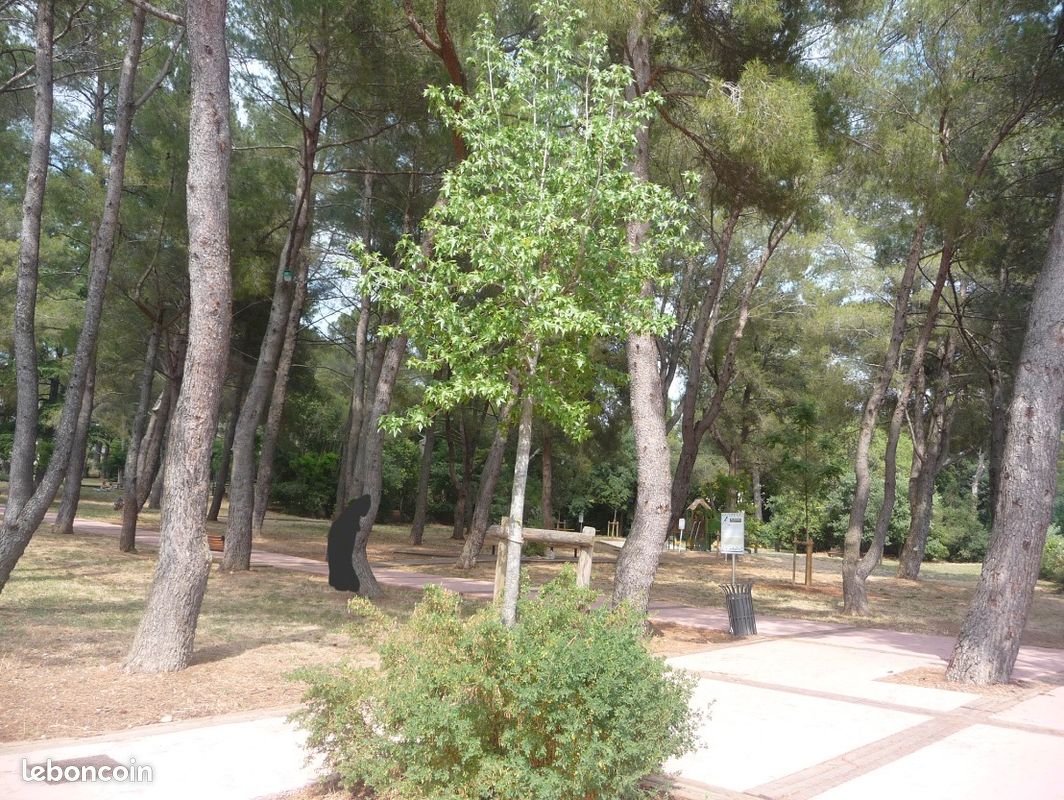 Appartement 1 pièce 24 m² · à Montpellier · 24,2 m² · 560 €