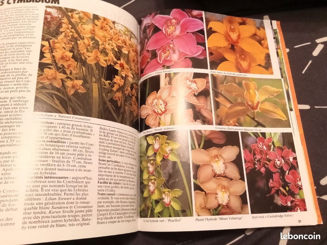2 livres sur la réussites des orchidées (image 4)