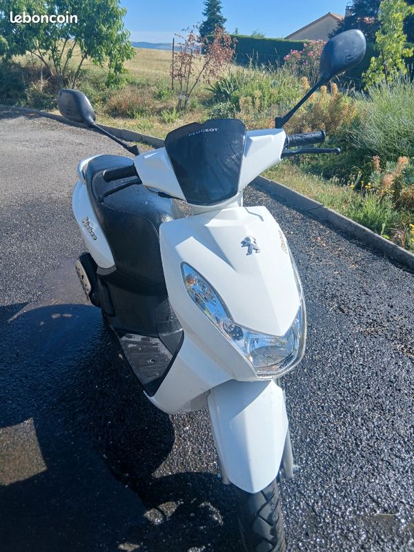 Scooter Kisbee (image 1)