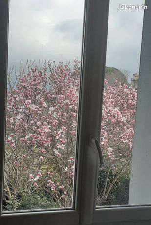 Location appartement t2
