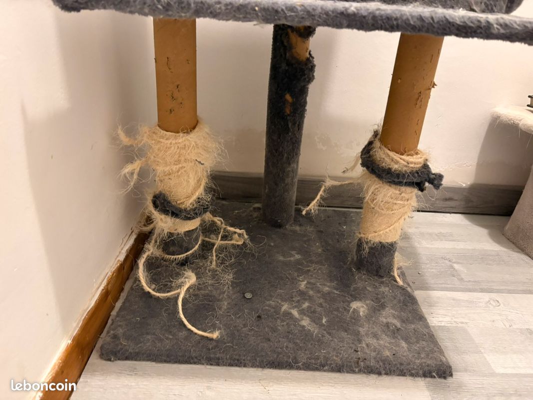 A donner arbre à chat (image 7)