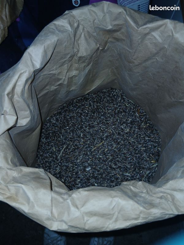 Avoine en sac de 20kg de 2025 (image 1)