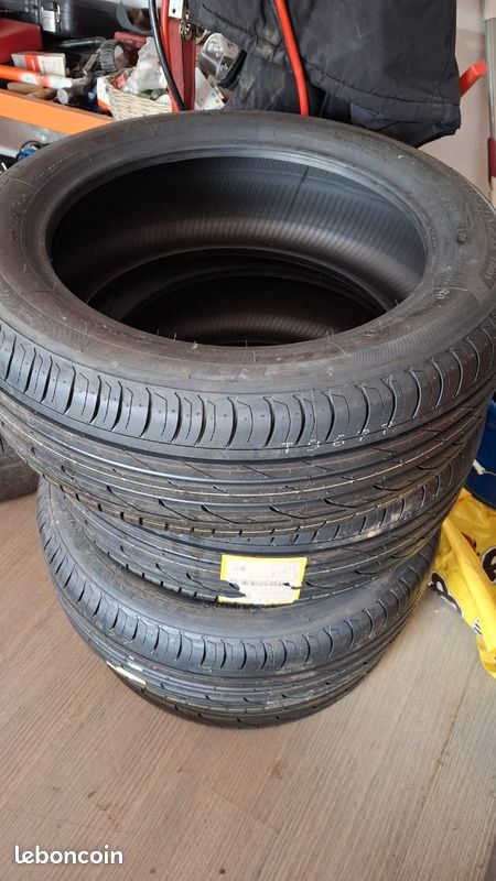 4 pneus neuf BRIDGESTONE 205.55 R17 95W (image 1)