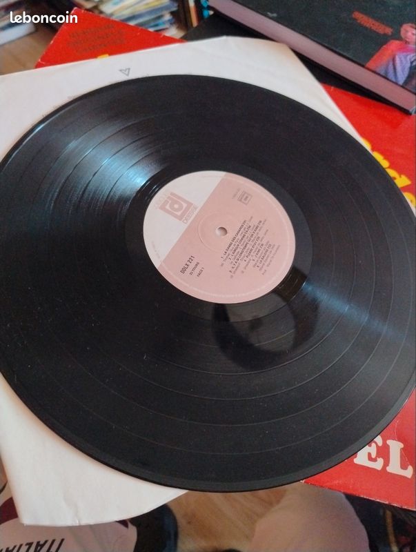 Vinyle la danse des canards (image 3)