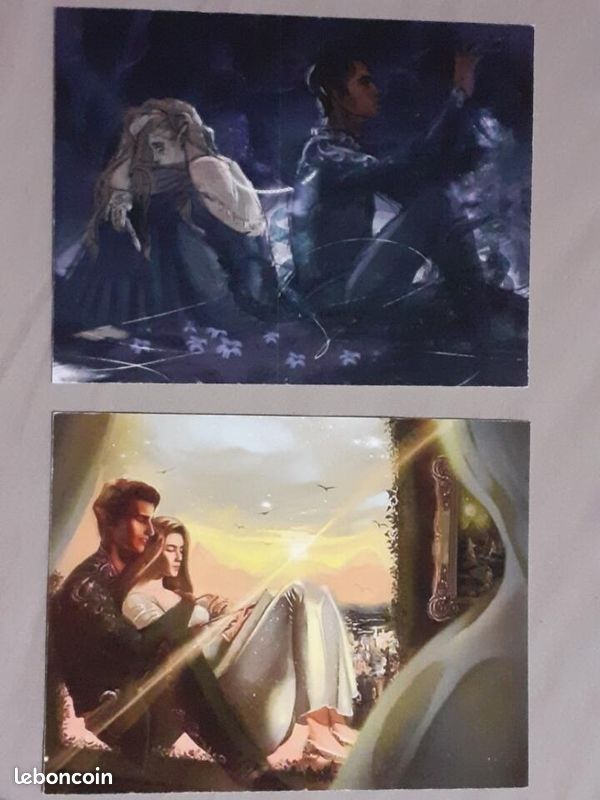 Cartes ACOTAR / Un Palais d'Epines et de Roses - Sarah J Maas (image 2)