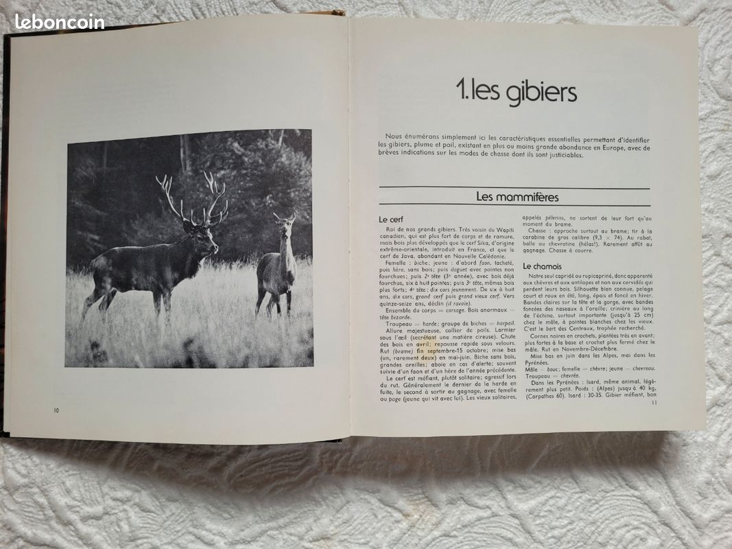Livre vintage (image 8)
