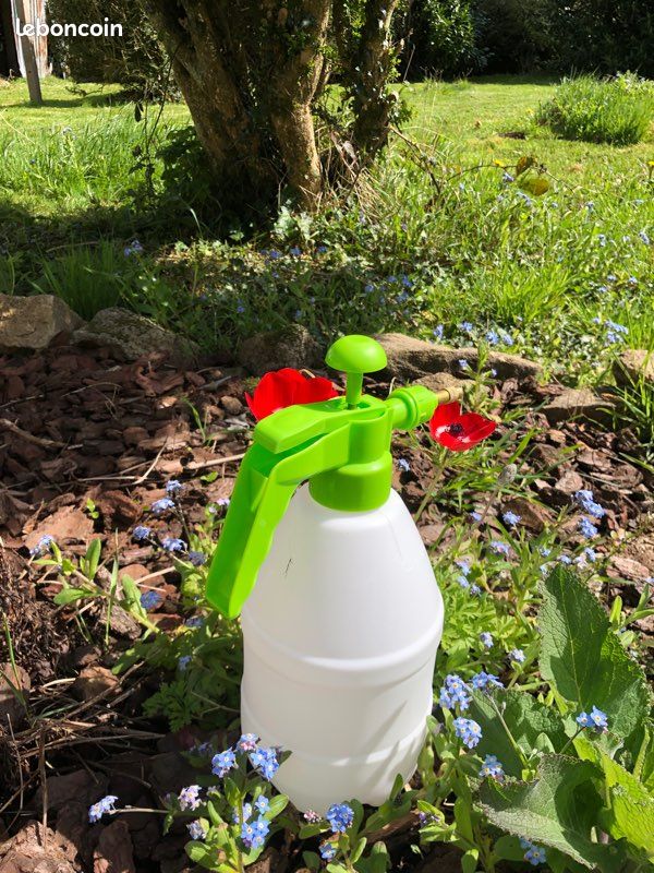 Pulvérisateur à pression 2,5l avec buse en métal (image 10)