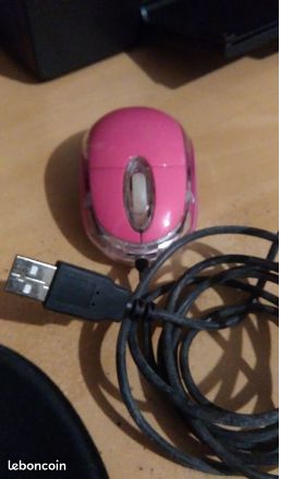 Souris (image 2)