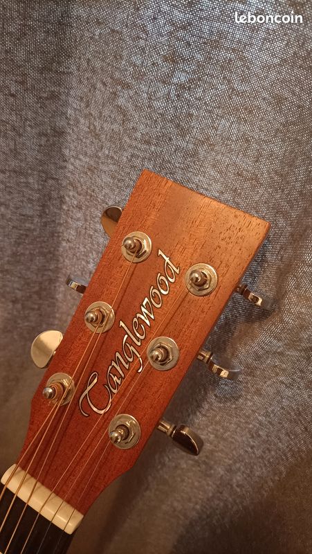 Guitare acoustique Folk TangleWood TWR2 (image 3)