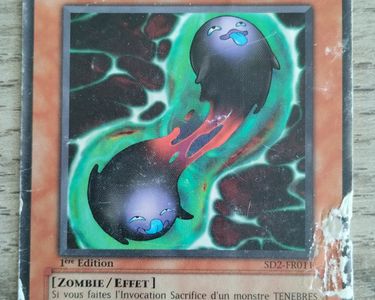 Carte Yu-Gi-Oh - Double Coston 1re Edition 1996 SD2-FR011 - Collection Carte Yu-Gi-Oh - Double Coston 1re Edition 1996 SD2-FR011 - Collection