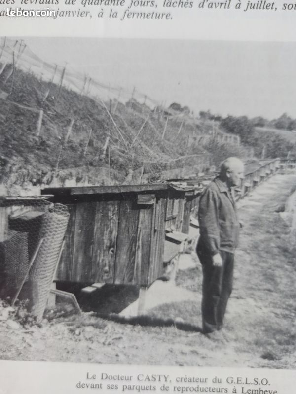 Comment créer et conduire un élevage de lièvres. Bernard Olier et Pierre Montet. Éditions La maison rustique / Société Nouvelle France-Gibier. 1987. Septième édition (image 14)