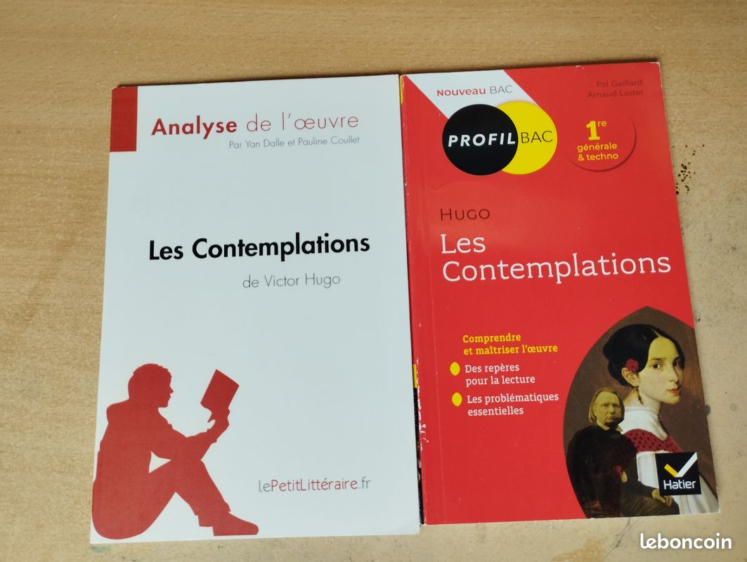 Livres d'analyse de lecture en 1 ère pour bac de Français (image 5)