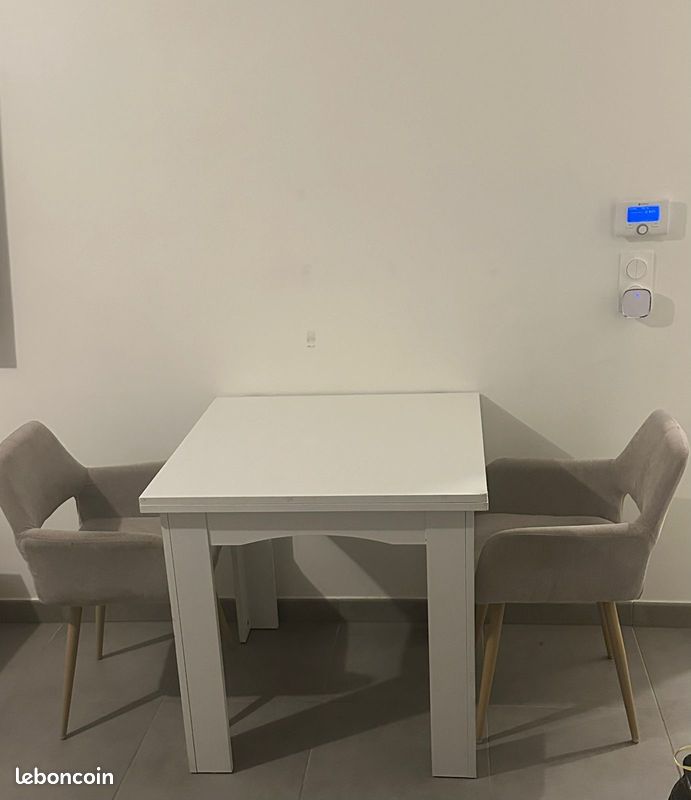 Table (image 1)