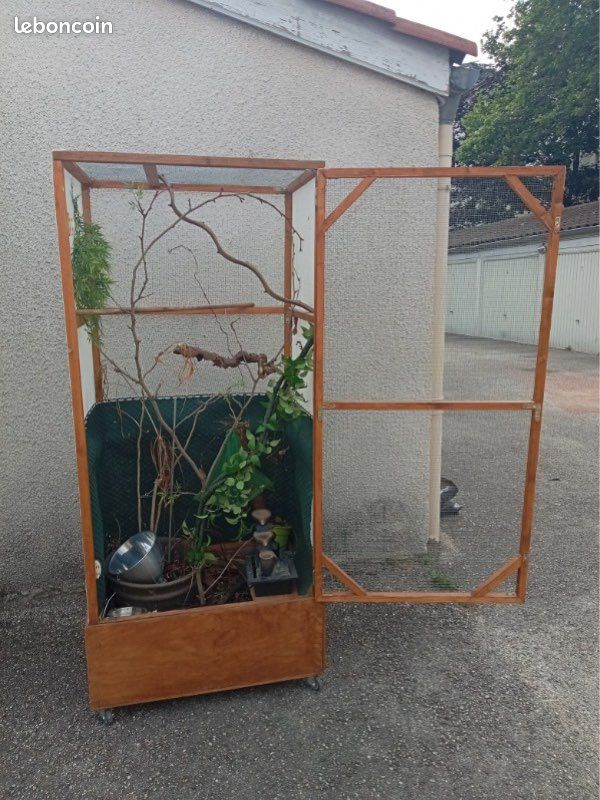 Cage pour reptiles ou oiseaux de base utilisé pour un caméléon (image 1)
