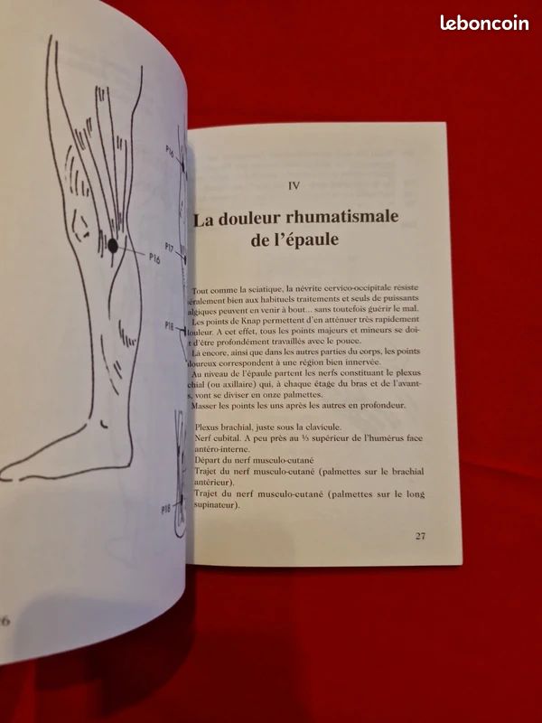 Les points de Knap - soulagement des douleurs stimulation vitale (image 4)