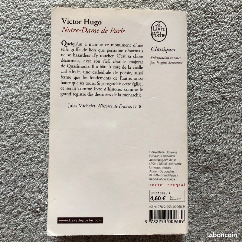 Notre-Dame de Paris, Victor Hugo (image 2)