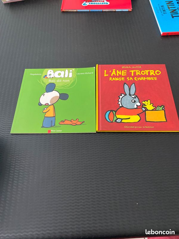 Livre enfant (image 1)